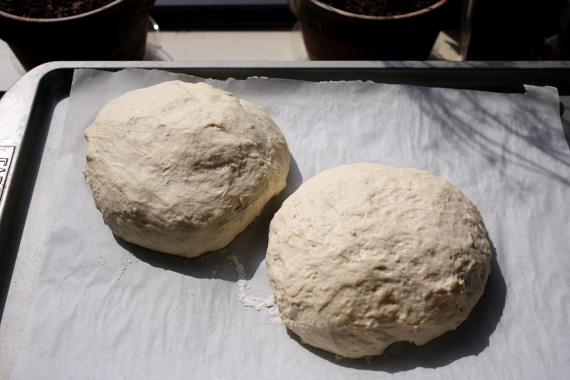 no knead dough_2